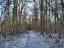 Bois de Courcelles